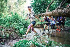 BIB: 
                            <button type="button" onclick="openModal(25478424)" class="btn btn-primary btn-sm float-right btn-popup" data-toggle="modal" data-target=".modal-high-quality">
                        <i class="fas fa-shopping-cart"></i> Add to Cart
                    </button>
                                            <button type="button" onclick="isThisMe(25478424, true)" class="btn btn-success btn-sm float-right btn-popup btn-isme hidden" data-toggle="tooltip" data-placement="bottom" title="นี่คือรูปของคุณใช่ไหม คลิกที่นี่เพื่อเอาเข้าอัลบั้ม">
                        <i class="fas fa-plus"></i> Add to album
                    </button>
                    <button type="button" onclick="isThisMe(25478424, false)" class="btn btn-warning btn-sm float-right btn-popup btn-isnotme hidden">
                        <i class="fas fa-ban"></i> Remove from album
                    </button>